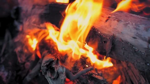  Close up of camp fire flames. 스톡 동영상 116912509