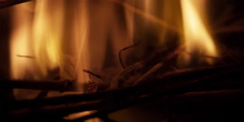 Close-up of a camp fire. Stock Footage 46870861