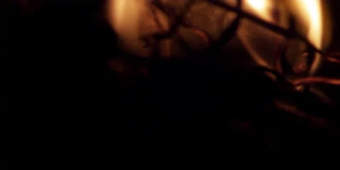 Close-up of a camp fire. Stock Footage 46870865