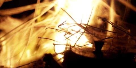 Close-up of a camp fire. Stock Footage 46870906