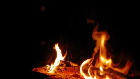 Close-up of campfire against the moon reflected in the lake in the evening. 스톡 동영상 283082041