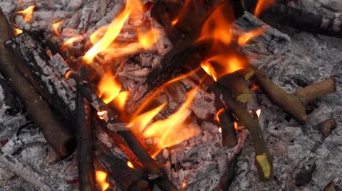 Close up of a campfire and putting some log wood into the fire Video stock 39239004