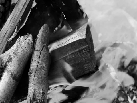 Close up of campfire in black and white Stock Footage 76950457
