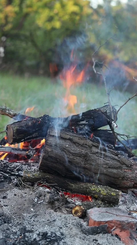 Close-up of a campfire with bright flames and coals Stock Footage 337062214