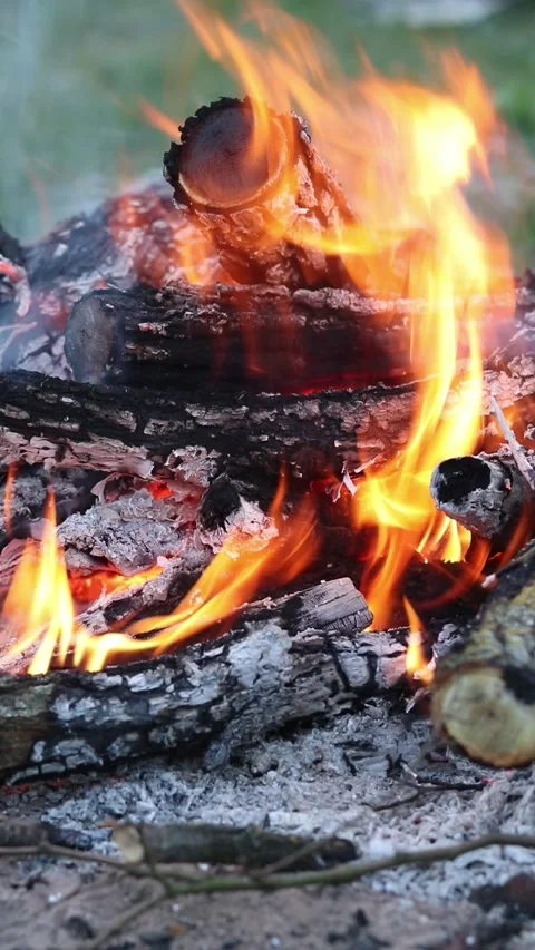 Close-up of a campfire with bright flames and coals Stock-Footage 337062233