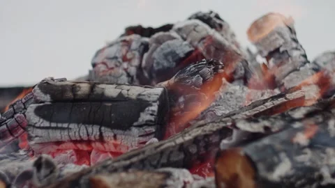 Close-up of a campfire with burning and charred firewood. Stock Footage 331090758