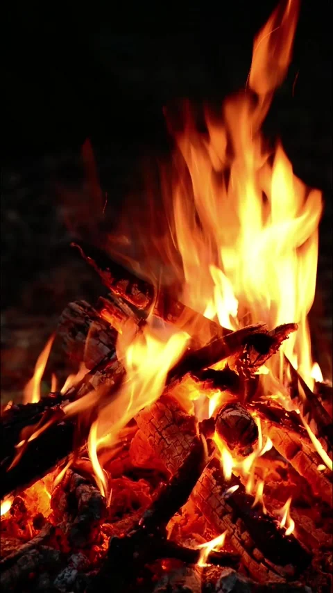 Close-up Campfire Burning in Dark Forest Seamless Loop with Sound Stock Footage 344951234