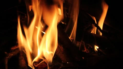Close-up of a campfire burning Stock Footage 44446776
