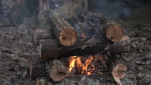 Close-up of Campfire with Burning Logs Stock Footage 308636945