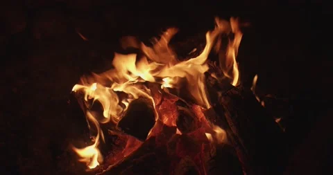 Close up campfire burning with orange light outdoors on black night background Stock Footage 139694612