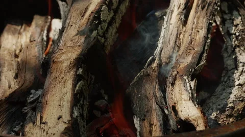 Close up of a campfire with burning wood logs, embers, and smoke rising 動画素材 342378162