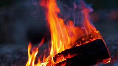 Close up of a campfire, fire Stock Footage 287864465