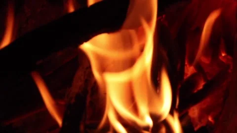 Close-Up Campfire Flame and Burning Wood Vídeo Stock 336532140