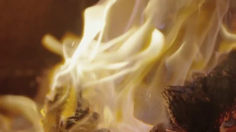 Close up of campfire flame Vidéo 231358394