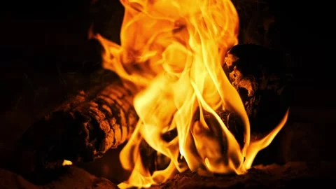 Close Up of Campfire Flames: Abstract Background Stock Footage 284420551