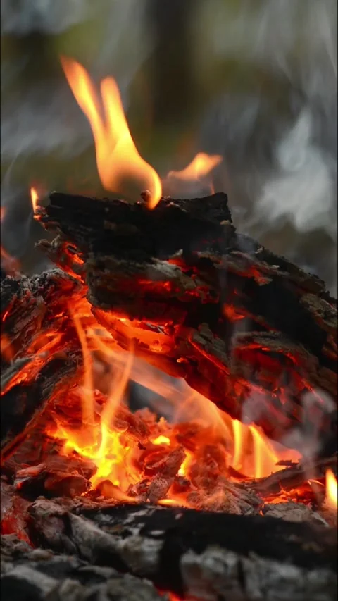 Close-up of Campfire Flames and Glowing Wood Embers Stock Footage 344746509