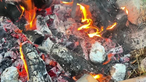 Close-Up of Campfire Flames Burning Logs and Baking Foil-Wrapped Potatoes in Stock Footage 346499449