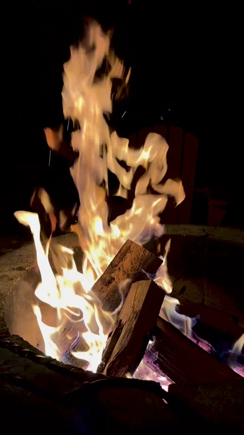 Close Up Campfire Flames Burning Wood Logs at Night Vertical Video Stock Footage 333717032