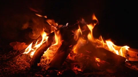 Close up campfire flames of camping fire Stock Footage 116542685