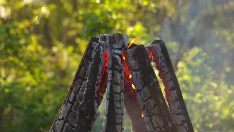 Close-up Campfire Flames in Pine Forest, Spring, Blurred Background Video stock 334067641
