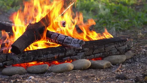 Close-up Campfire Flames in Pine Forest, Spring, Blurred Background Stock-Footage 334068989