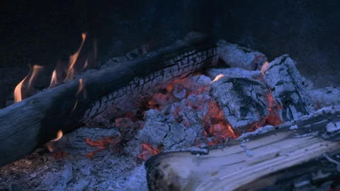 Close-Up of Campfire Flames – Warm and Intimate Fire Detail Stock Footage 310077599
