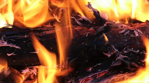 Close-up Campfire Video stock 34481107