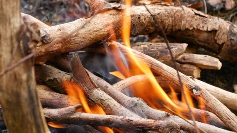 Close-up of a campfire. Stock Footage 74225935