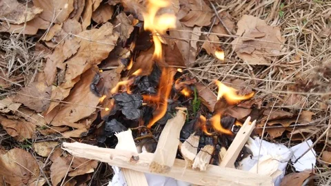 Close-up of a campfire. Stock Footage 74226030