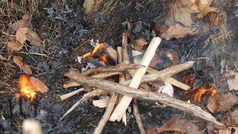 Close-up of a campfire. Stock Footage 74226126