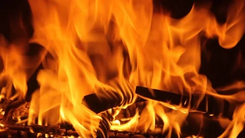 Close-up Of A Campfire Stock Footage 127103274
