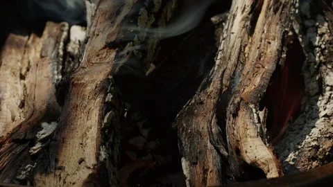 Close-up of Campfire Logs Burning and Smoking in Fire Pit Outdoor 動画素材 342377455