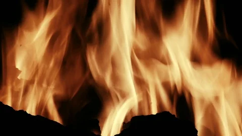 Close up of a campfire at night Stock Footage 101072306