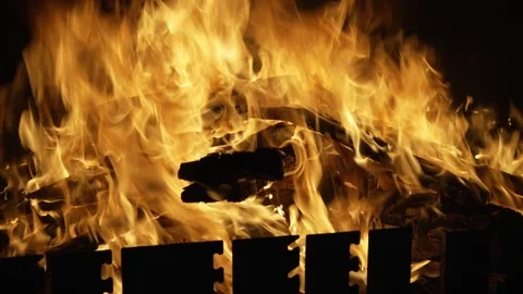 Close-up of Campfire with People Speaking in the Background Stock Footage 310861817