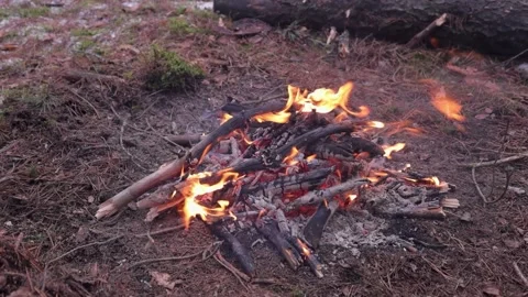 Close up of a campfire radiating heat Stock Footage 211689815