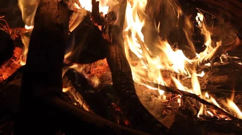 Close up campfire shot Video stock 51138864