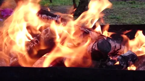 Close up of campfire, top view Stock Footage 48892427