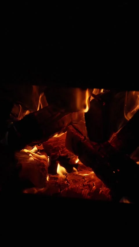 Close-up of campfire wood burning at night Видео 337934265