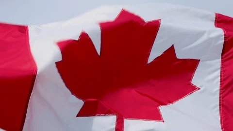 Close up Canadian flag in wind Stock Footage