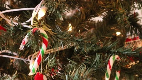 Close Up of Candy Cane Hanging on Christmas Tree with Lights Stock Footage 145875564
