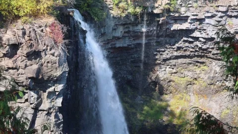 A close up of Canin Falls Stock Footage 251925980