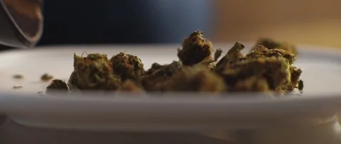 Close up of cannabis buds being spread on a white plate, shallow depth of field Stock Footage 120005839