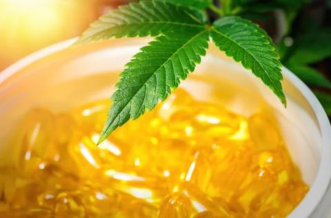 Close up of Cannabis leaf and container with CBD oil Capsules Stock Photos