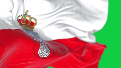 Close-up of the Cantabria flag waving in the wind isolated on green backgroun Stock Footage 277655755