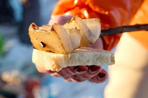 Close-up captures bread with grilled onion in hand, an outdoor, simple snack. Stock Photos