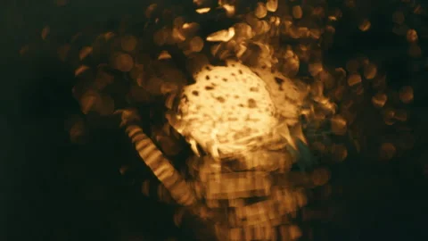 Close up of car windshield in the rain Stock Footage 243770266