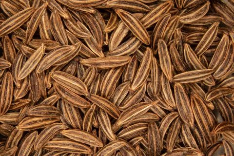 Close-up of caraway Stock Photos