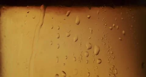 Close-up of carbonation bubbles rising in a beer glass Stock Footage 342736126
