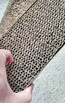 Close Up of Cardboard Cat Scratching Post Texture Holding by Hand Stock Photos