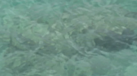 Close up of Caribbean Water Stock Footage 46627228